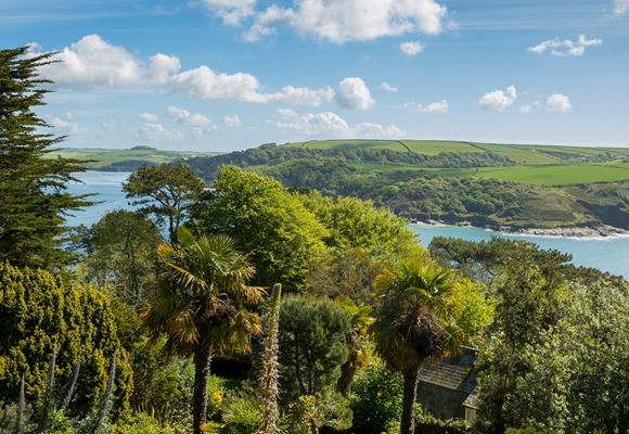 Credit: National Trust - Overbeck's Garden